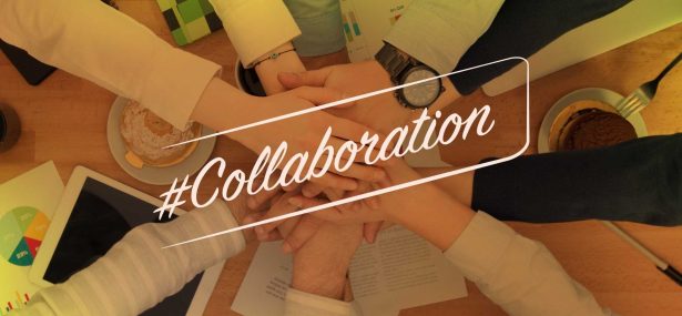 To collaborate or not to collaborate? That is the question.
