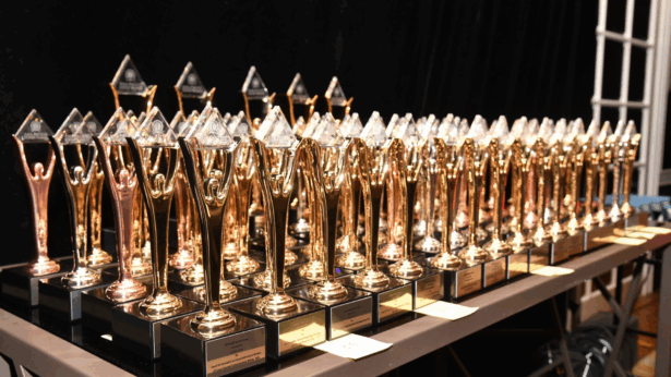 From Brisbane to Broadway: Elephant in the Room to take centre stage at the Stevie Awards in NYC